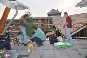 beschermd wonen